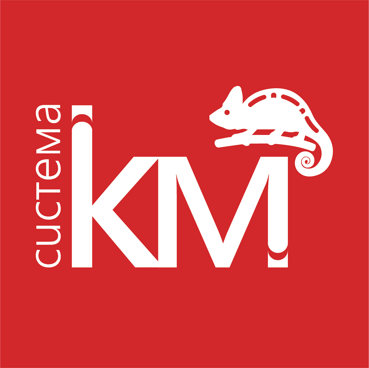 СИСТЕМА КМ